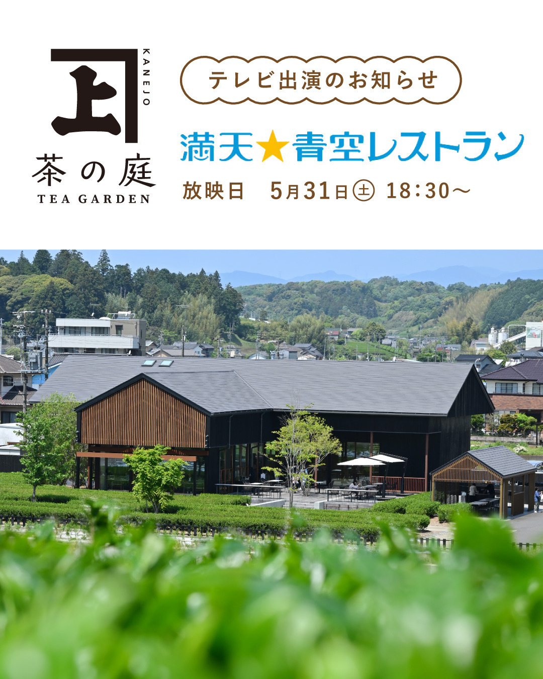 満天☆青空レストラン」に出演します！（2025/5/31放送） ｜ 茶の庭